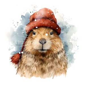 Pacchetto Clipart Capibara di Natale - 10 JPG di alta qualità - Download digitali - Uso commerciale, acquerello, tecniche miste, artigianato digitale su carta