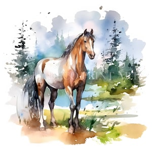 Bellissimo cavallo Clipart Bundle - 12 JPG di alta qualità - Download digitali - Uso commerciale, acquerello, tecniche miste, artigianato digitale su carta