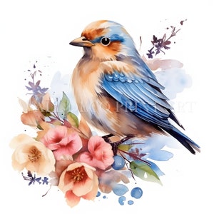 Rotkehlchen Vogel mit Blumen Clipart Bundle - 11 hochwertige JPGs - digitale Downloads - kommerzielle Nutzung, Aquarell, Mischtechnik, Papiermodell, Tasse