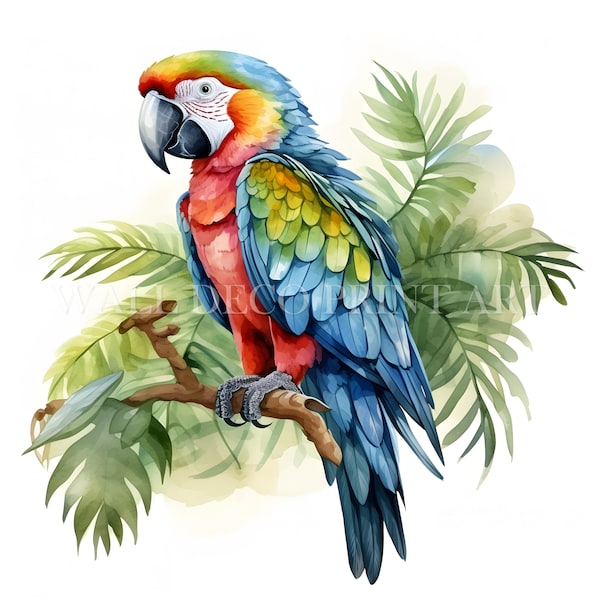 Colorful Parrot Clipart Bundle - 13 High Quality JPGs - Digital Downloads - Commercial Use, Watercolor, Mixed Media, Paper Craft, Mug