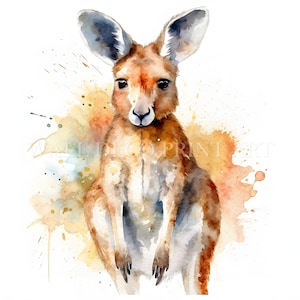 Pacchetto Clipart Canguro - 8 JPG di alta qualità - Download digitali - Uso commerciale, Acquerello, Tecnica mista, Carta digitale, Tazza, Animale