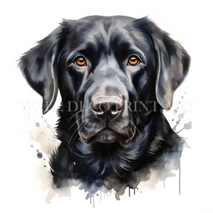Black Labrador Clipart Bundle - 10 High Quality JPGs - Digital Downloads - Commercial Use, Watercolor, Mixed Media, Digital Paper Craft, Mug