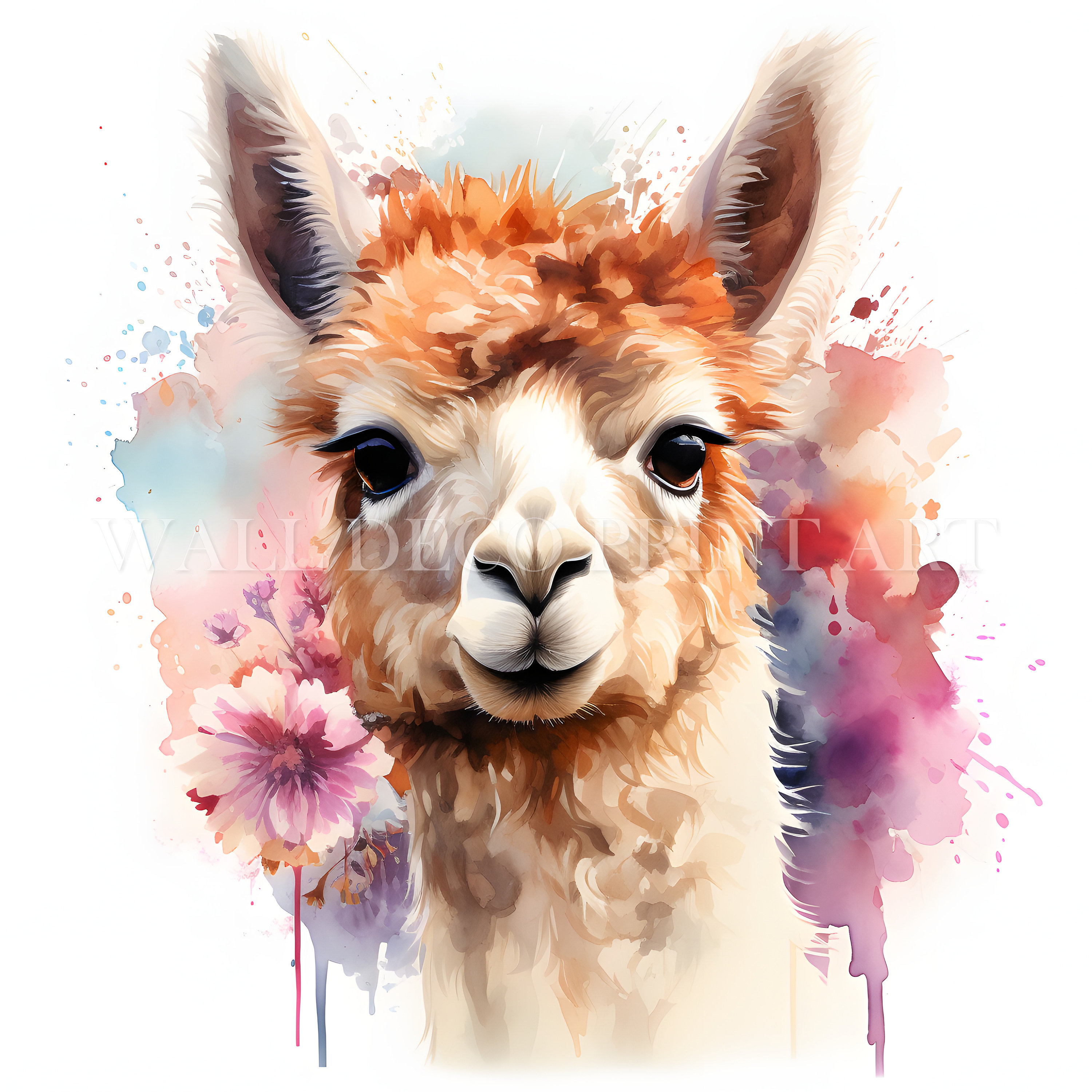 Lovely Alpaca Clipart Bundle - 10 High Quality Jpgs - Digital Downloads ...