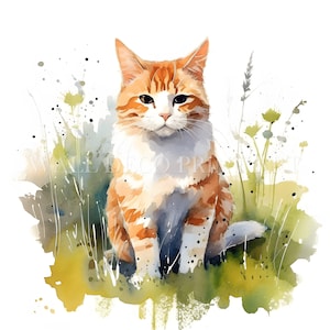 Beau lot de cliparts chat - 10 fichiers JPG de haute qualité - téléchargements numériques - usage commercial, aquarelle, techniques mixtes, créations numériques en papier