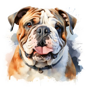 Cute Bulldog Puppy Clipart Bundle - 10 High Quality JPGs - Digital Downloads - Commercial Use, Watercolor, Mixed Media, Digital Paper Craft