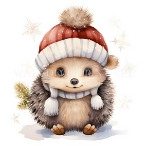 Christmas Hedgehog Clipart Bundle - 1 PNG & 10 High Quality JPG - Digital Downloads - Commercial Use, Watercolor, Mixed Media, Digital Craft