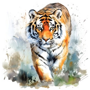 Tiger Clipart Bundle - 11 hochwertige JPGs - Digitale Downloads - Kommerzielle Nutzung, Aquarell, Mischtechnik, Digitales Papier Handwerk