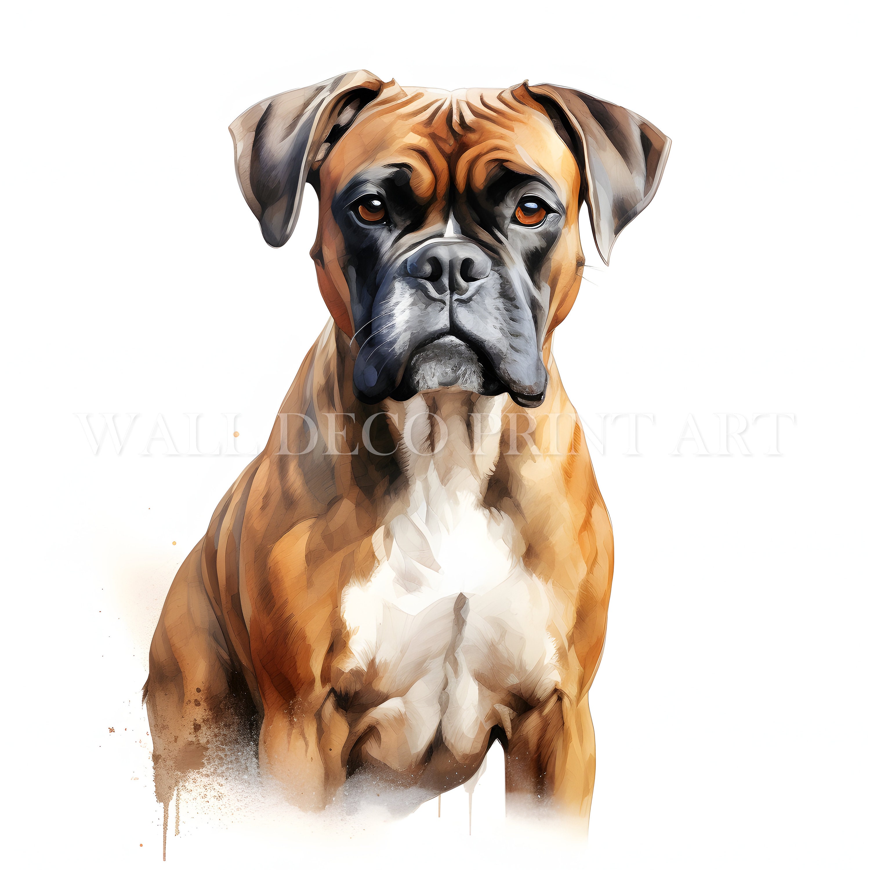 Cute Boxer Puppy Clipart Bundle - 10 High Quality Jpgs - Digital ...