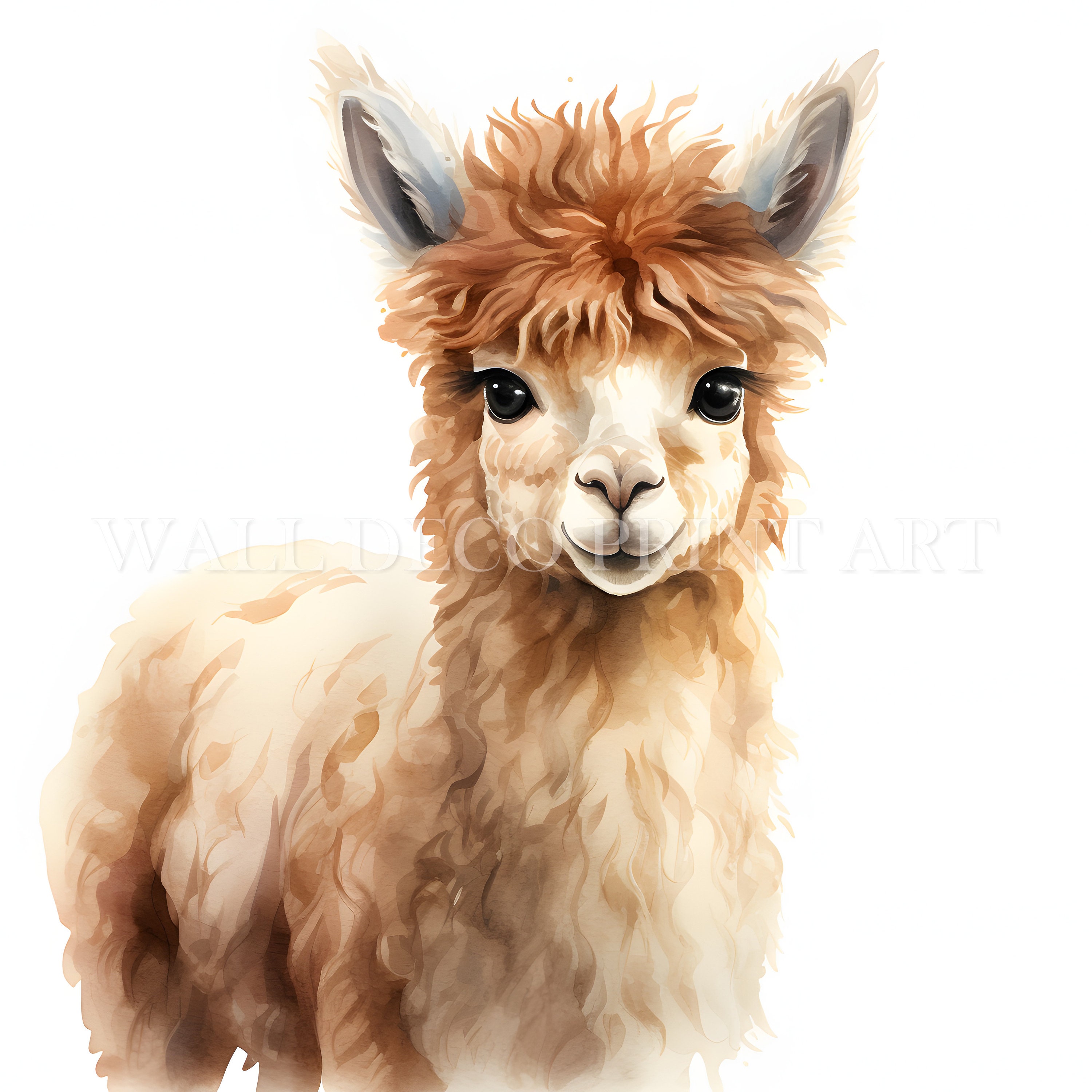 Lovely Alpaca Clipart Bundle - 10 High Quality Jpgs - Digital Downloads ...