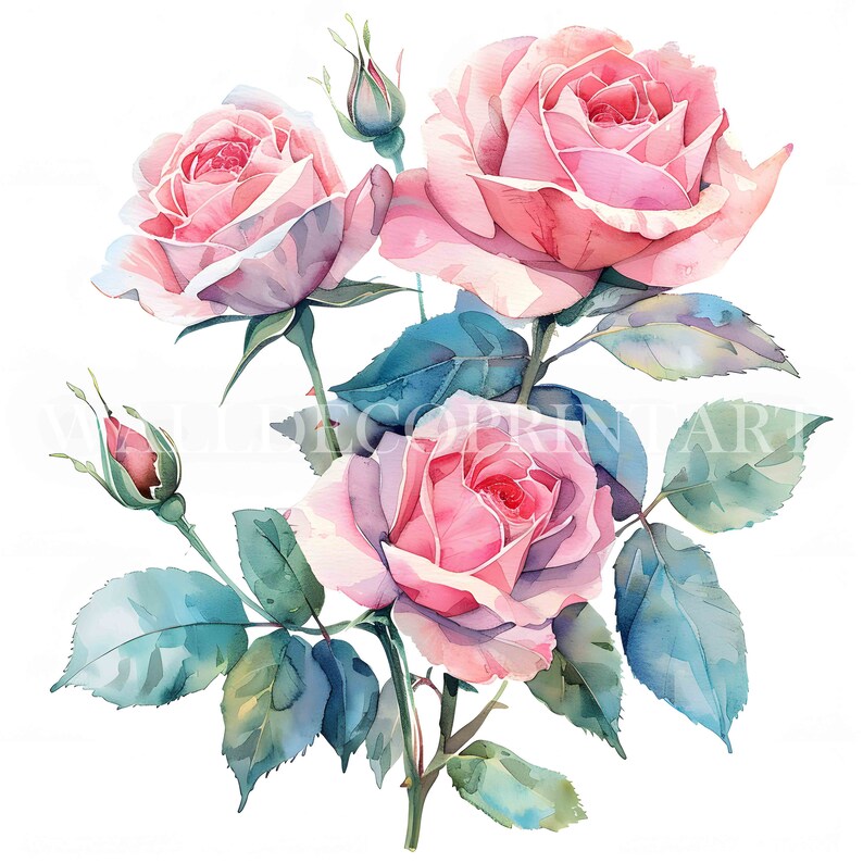 10 Pink Roses Clipart Bundle - 10 High Quality Jpgs - Digital Download ...