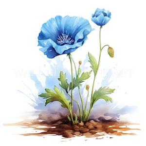 Blauer Mohnblume Clipart Bundle - 10 hochwertige JPGs - Digitale Downloads - Kommerzielle Nutzung, Aquarell, Mischtechnik, Digitales Papier Handwerk