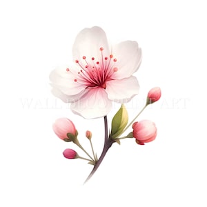 Clipart semplice di fiori di ciliegio - 9 JPG di alta qualità - Download digitali istantanei - Uso commerciale, arte murale, tecniche miste, artigianato digitale su carta