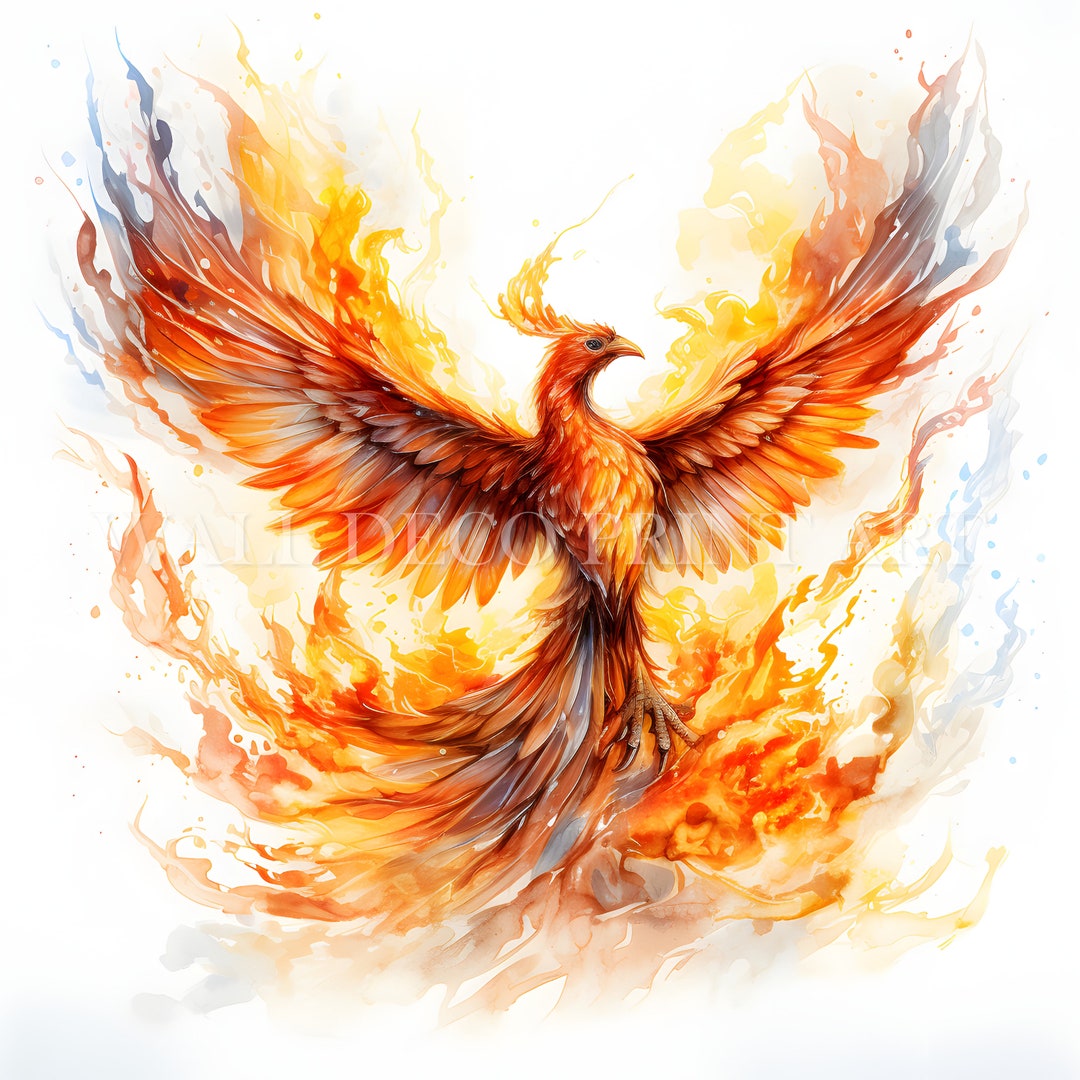 Flaming Phoenix Clipart Bundle 10 High Quality Jpgs Digital Downloads Commercial Use, Watercolor