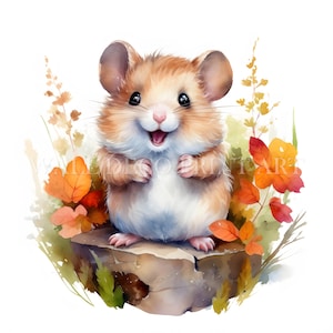 Bellissimo pacchetto di clipart HAMSTER - 10 JPG di alta qualità - Download digitali - Uso commerciale, acquerello, tecniche miste, artigianato digitale su carta