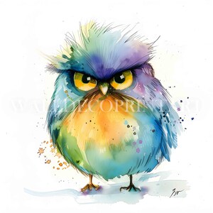 Paquete de 11 imágenes prediseñadas de pájaros gruñones adorables: archivos JPG de alta calidad, descargas digitales, uso comercial, acuarela, técnica mixta, manualidades de papel, imprimibles
