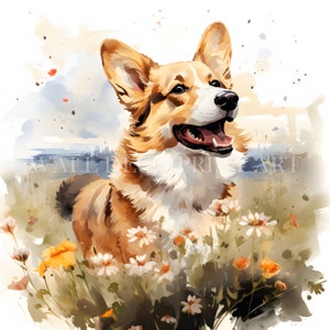 Prachtige Corgi-clipartbundel - 10 hoge kwaliteit JPG's - Digitale downloads - Commercieel gebruik, aquarel, Mixed media, Digital Paper Craft