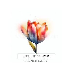 Aquarell Frühlingsblumen Clipart - Tulpe - 10 hochwertige JPGs - Sofortiger Download für kommerzielle Nutzung, lebendige Farben, digitales Papiermodell