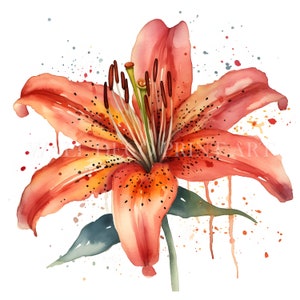 Clipart de flores de primavera en acuarela - Lirio - 10 archivos JPG de alta calidad - Descarga instantánea para uso comercial, colores vibrantes, manualidades de papel digitales