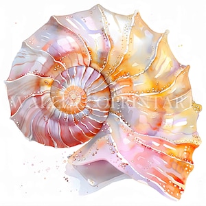 Può includere: Un dipinto ad acquerello di una conchiglia di nautilus con un motivo a spirale in tonalità di rosa, arancio e giallo.