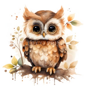Niedliche kleine Eulen-Clipart-Bundle - 10 hochwertige JPGs - digitale Downloads - kommerzielle Nutzung, Aquarell, Mischtechnik, digitales Papiermodell