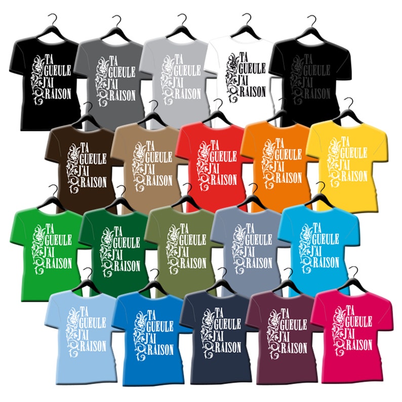 Puede incluir: Una colecci&oacute;n de 18 camisetas de varios colores, cada una con un dise&ntilde;o gr&aacute;fico blanco con el texto "TA GUEULE J'AI RAISON". Las camisetas se muestran en perchas sobre un fondo blanco.