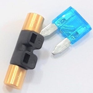 Op de afbeelding: Een close-up van twee auto-zekeringen. De ene is een cilindrische zekering met goudkleurige metalen uiteinden en een zwarte kunststof connector. De andere is een blauwe meszekering met zilveren metalen pinnen.