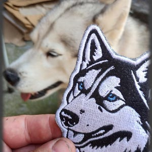 Op de afbeelding: Geborduurde patch met een husky-hondengezicht met blauwe ogen, zwarte en witte details. De patch wordt voor een levende husky-hond met vergelijkbare markeringen gehouden. De patch is een decoratief item.