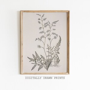 Vintage Botanical Sketch, Botanical Drawing, Antique Art, Digital Download