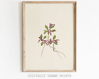 Vintage botanische Zeichnung, botanische Skizze, antike Kunst, druckbare Blumenkunst, Bauernhausdekor, digitaler Download