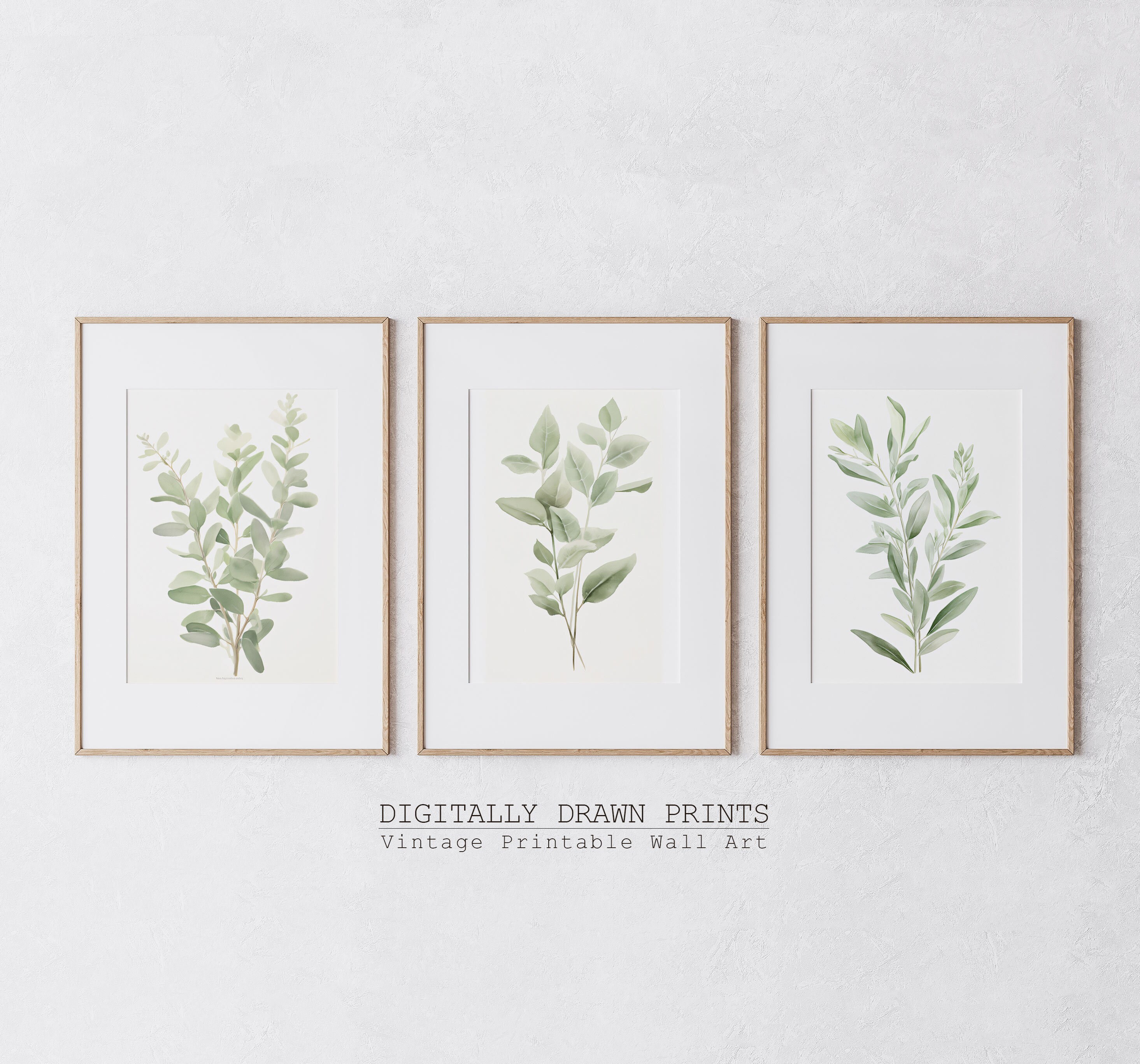 Set of 3 Botanical Wall Art | Sage Green Art | Floral Illustration ...