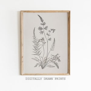 Vintage Botanical Sketch, Botanical Drawing, Antique Art, Digital Download
