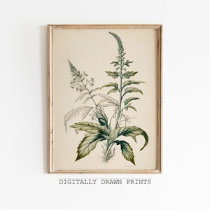 Farmhouse Botanical Print, Botanical Drawing, Antique Art, Floral Printable Art, Farmhouse Decor, Digital Download