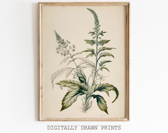 Farmhouse Botanical Print, Botanical Drawing, Antique Art, Floral Printable Art, Farmhouse Decor, Digital Download