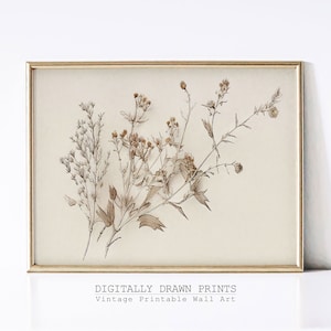 Esboço botânico vintage, desenho botânico arte antiga, arte floral para impressão, decoração de fazenda, download digital