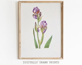 Vintage botanische Zeichnung, botanische Skizze, antike Kunst, druckbare Blumenkunst, Bauernhausdekor, digitaler Download