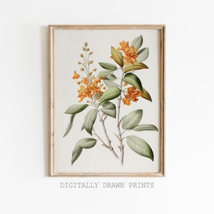 Vintage botanische schets, botanische tekening, antieke kunst, afdrukbare bloemenkunst, boerderij decor, digitale download