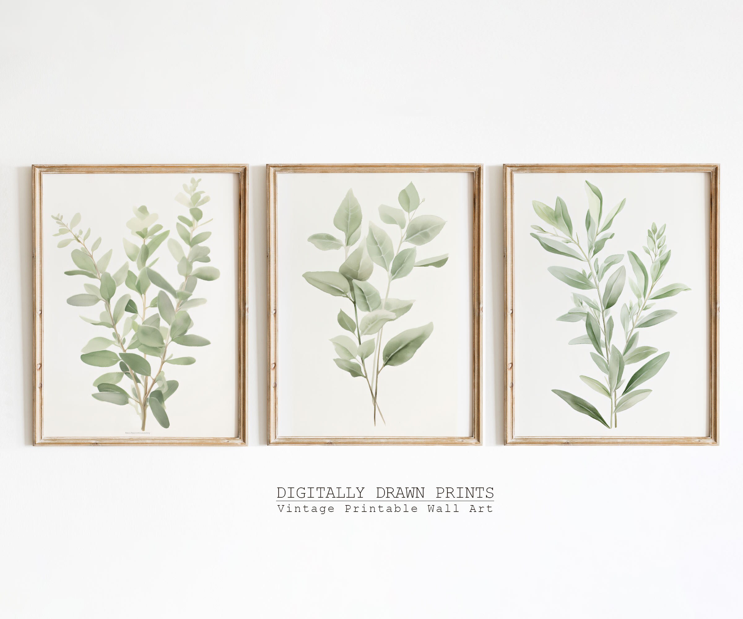 Set of 3 Botanical Wall Art | Sage Green Art | Floral Illustration ...