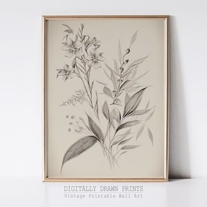 Vintage botanische schets, botanische tekening, antieke kunst, digitale download