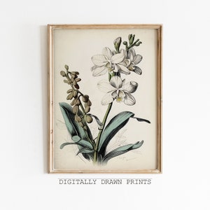 Vintage Flower Art Print, Botanical Drawing, Antique Art, Floral Printable Art, Farmhouse Decor, Digital Download