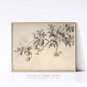 Vintage Neutral Apple Tree Sketch, Rustic Farmhouse Kitchen Art Print, Antique Wall Art, Digital Wall Art Print