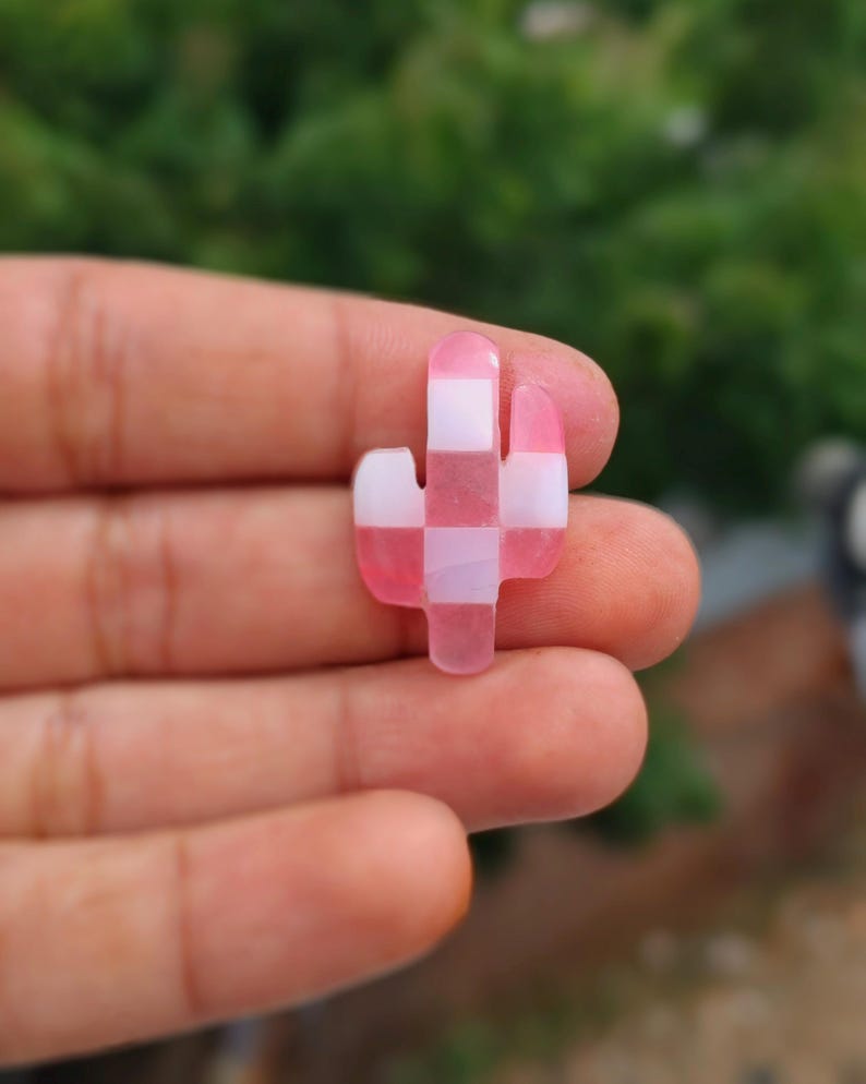 May include: A pink and white checkered cactus charm. The charm is made of resin and has a glossy finish.