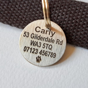 Engraved Solid Brass Pet ID Tag: Custom Cat & Dog Tag with QR Code