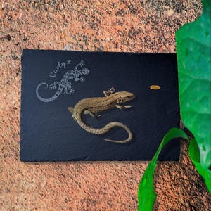 May include: Black slate serving tray with a laser-etched design of a lizard and the text "Carly x".