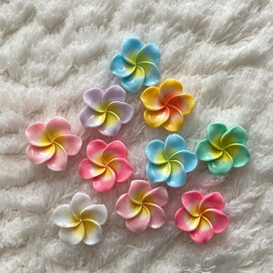 Puede incluir: Surtido de diez adornos de flores de plástico de colores. Las flores son en tonos de rosa, amarillo, azul y verde.