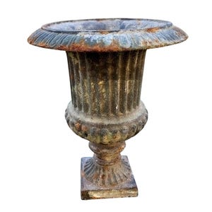 Copa Medici francesa / French Medici Cup