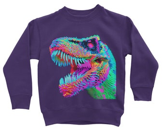 Children's Dinosaur Sweatshirt,  Dinosaur Jumper,  Dino Lover Sweatshirt, Kids Dinosaur Shirt, Gift for Dinosaur Lover