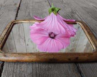 Charming old small wooden travel / Shaving mirror wth stand