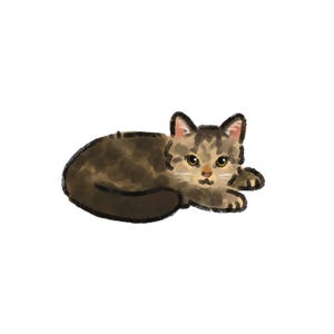 May include: A watercolor illustration of a brown and tan tabby cat lying down. The cat has yellow eyes and a white muzzle. The cat's fur is a mix of brown and tan, with darker brown markings. The cat is lying on a white background.
