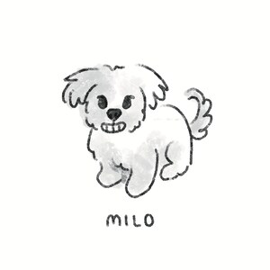May include: A hand-drawn illustration of a small, fluffy white dog with black eyes and nose. The dog is smiling, and the name "MILO" is written below in black letters. The style is simple and charming, perfect for pet lovers.