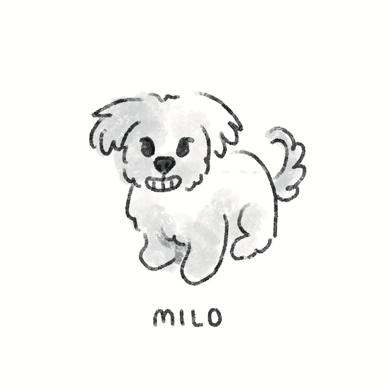 May include: A hand-drawn illustration of a small, fluffy white dog with black eyes and nose. The dog is smiling, and the name "MILO" is written below in black letters. The style is simple and charming, perfect for pet lovers.